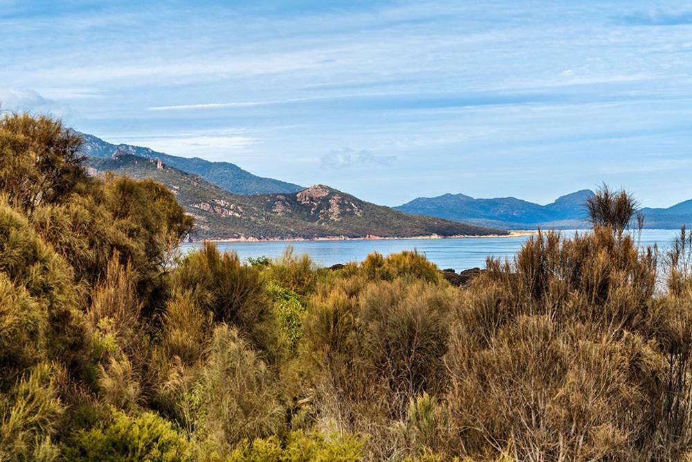 Freycinet Dream Villa Coles Bay Exteriör bild